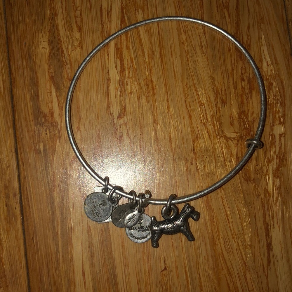 Silver Alex and ani bracelet